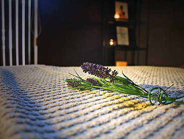 Southport Warm and Inviting by Lavender House